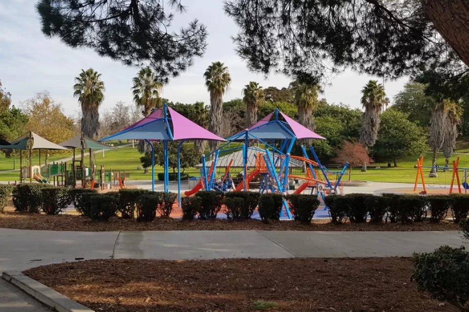 View of park playground with palm trees in background